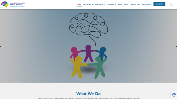 Screenshot of the British and Irish Association of Stroke Physicians website