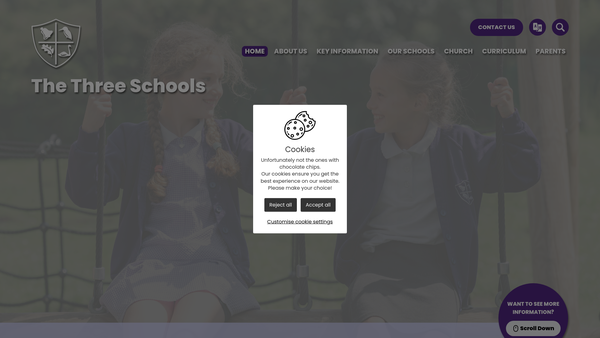 Screenshot of the Swanbourne C Of E School website