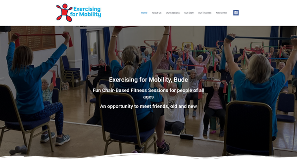 Screenshot of the Exercising For Mobility website