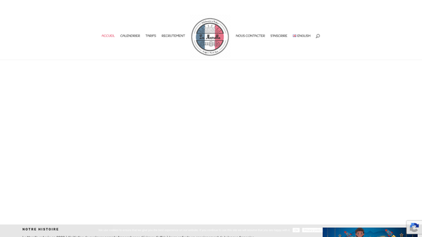 Screenshot of the La Marelle website