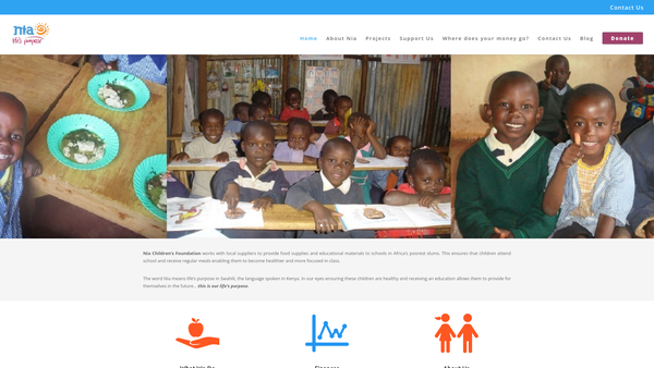 Screenshot of the Nia Children's Foundation website