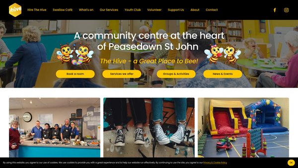Screenshot of the The Hive PSJ Ltd. website