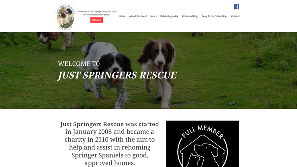 Screenshot of the Just Springers Rescue website
