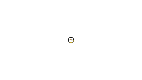 Screenshot of the Condor Vision Trust website