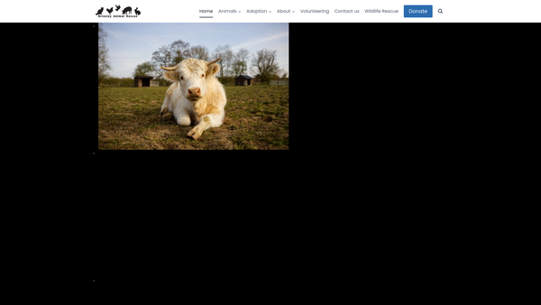 Screenshot of the Brinsley Animal Rescue website