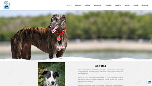 Screenshot of the Bristol Dog Action Welfare Group website