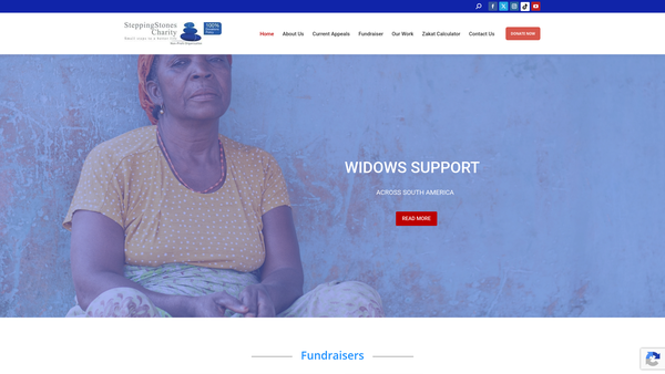 Screenshot of the Steppingstones Charity website