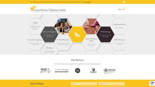 Screenshot of the Central Surrey Voluntary Action Limited website