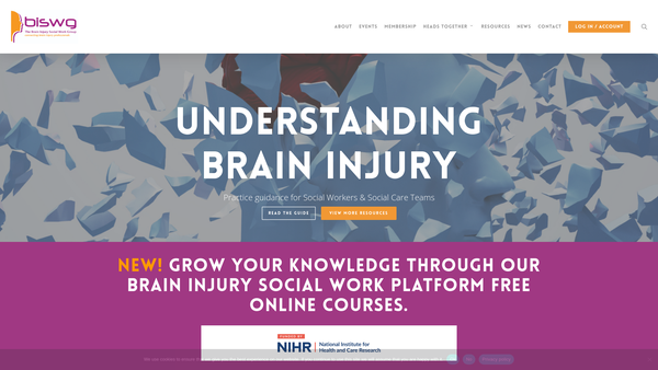 Screenshot of the Biswg Limited website