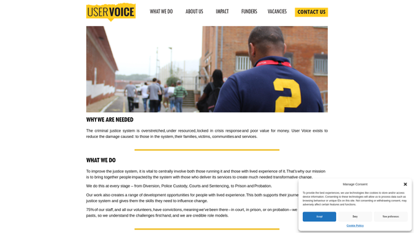 Screenshot of the User Voice website