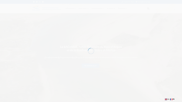 Screenshot of the Banc D'arguin, And Coastal And Marine Biodiversity Trust Fund Limited website