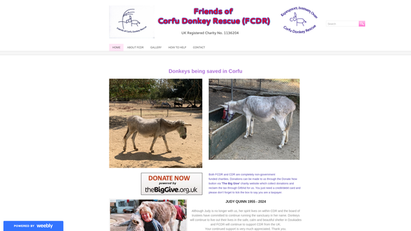 Screenshot of the Friends Of Corfu Donkey Rescue website