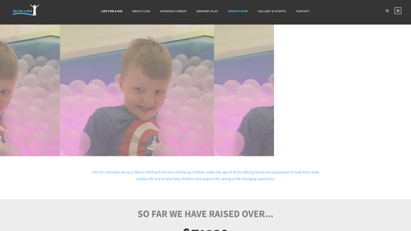 Screenshot of the Life For A Kid Foundation website