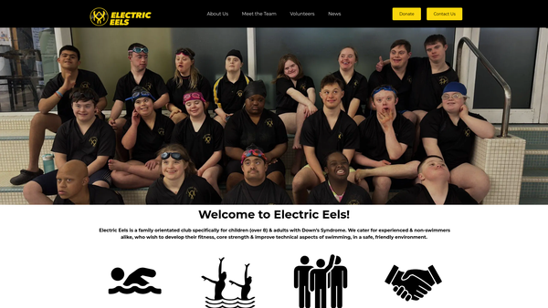 Screenshot of the Electric Eels website
