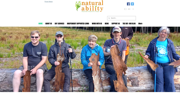 Screenshot of the Natural Ability website