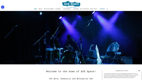Screenshot of the ACE Space website