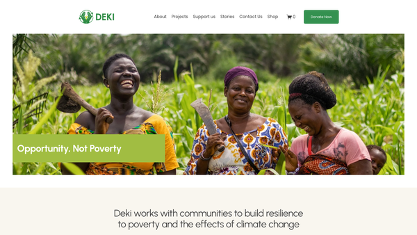 Screenshot of the Deki Limited website