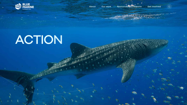 Screenshot of the Blue Marine Foundation website