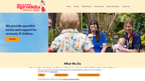 Screenshot of the Roald Dahl's Marvellous Children's Charity website