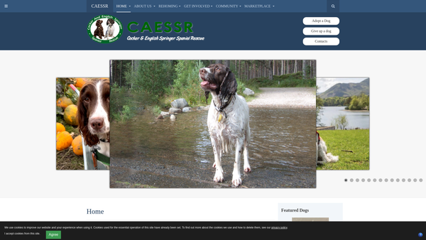 Screenshot of the Cocker And English Springer Spaniel Rescue (Caessr) website