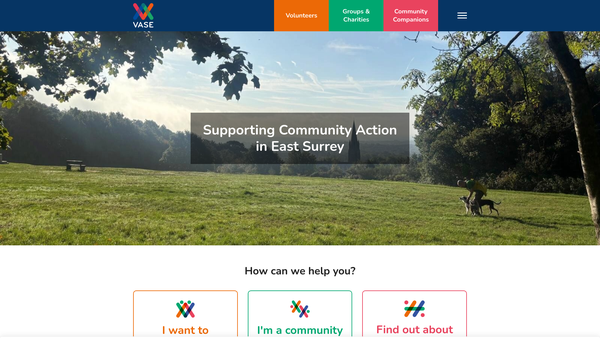 Screenshot of the Voluntary Action Surrey East (Vase) website