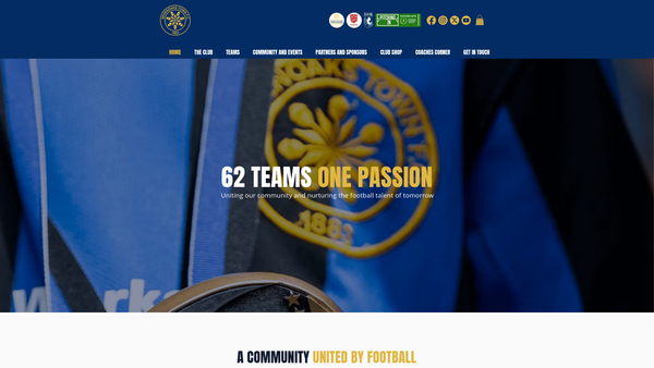 Screenshot of the Sevenoaks Town FC Limited website