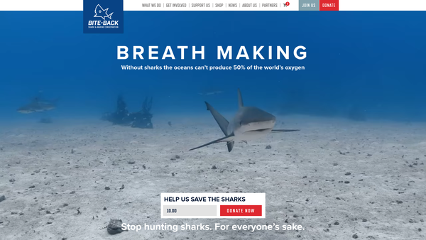 Screenshot of the Bite-Back Shark & Marine Conservation website