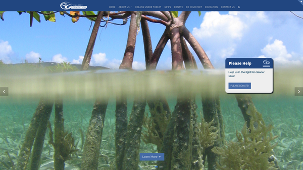 Screenshot of the P1 Marine Foundation website