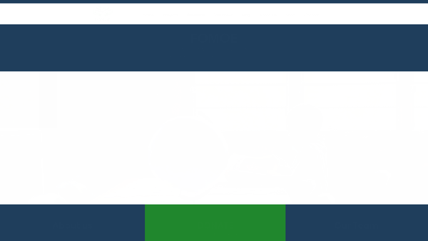 Screenshot of the Friends Of Mangochi Orphans Education website