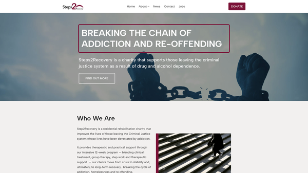 Screenshot of the Steps 2 Recovery website