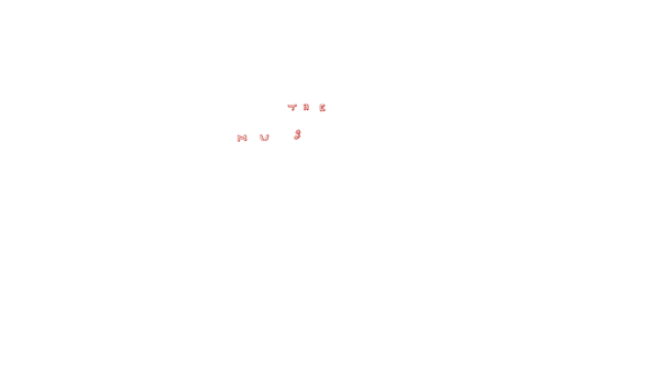 Screenshot of the The Museum Of Everything website