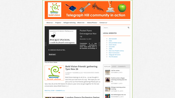 Screenshot of the Bold Vision website