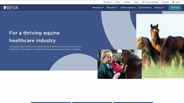 Screenshot of the Beva Limited website