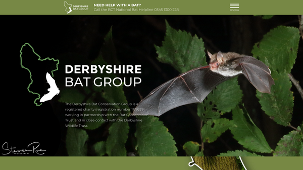Screenshot of the Derbyshire Bat Conservation Group website