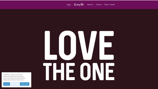 Screenshot of the Every Life International website