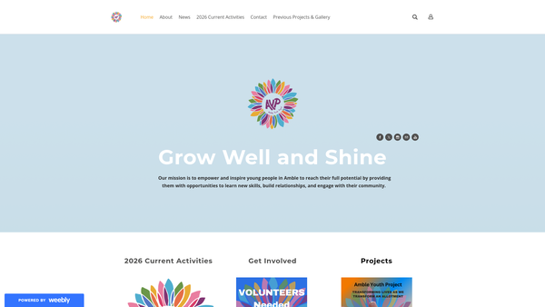 Screenshot of the Amble Youth Project Limited website