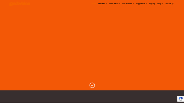 Screenshot of the Pedestrian Limited website