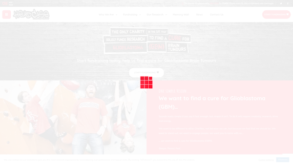 Screenshot of the Headcase Cancer Trust website