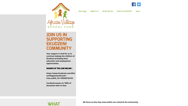 Screenshot of the African Village School Fund (Avsf) website