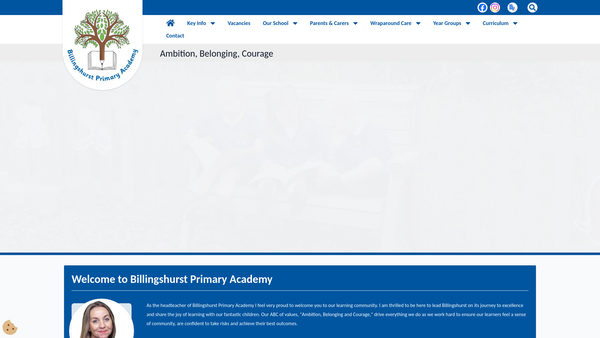 Screenshot of the Billingshurst Primary Academy Bees website