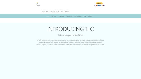 Screenshot of the Tabora League For Children website