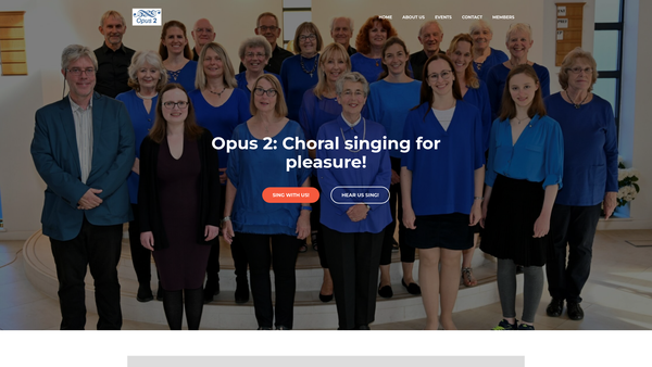 Screenshot of the Opus 2 website