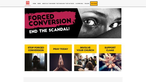 Screenshot of the Centre For Legal Aid Assistance And Settlement website