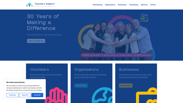 Screenshot of the Voluntary Support North Surrey website