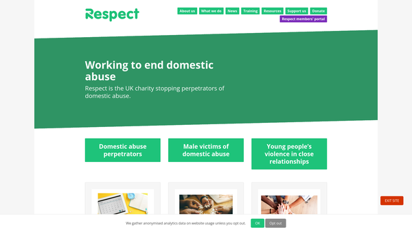 Screenshot of the Respect website