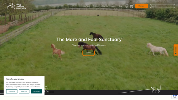 Screenshot of the The Mare And Foal Sanctuary website