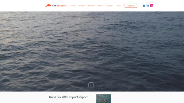 Screenshot of the Sea-Changers website