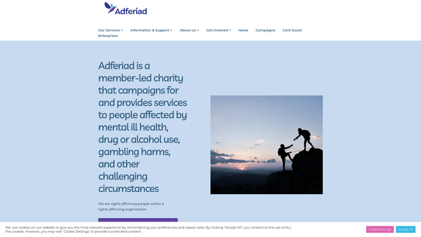 Screenshot of the Diverse Excellence Cymru website