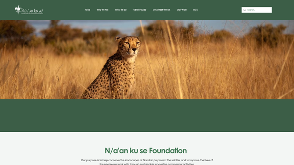 Screenshot of the N/a'an Kuse website