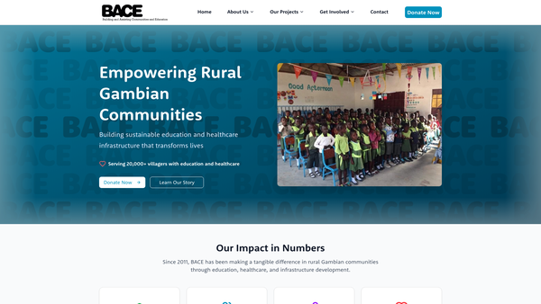Screenshot of the Bace website